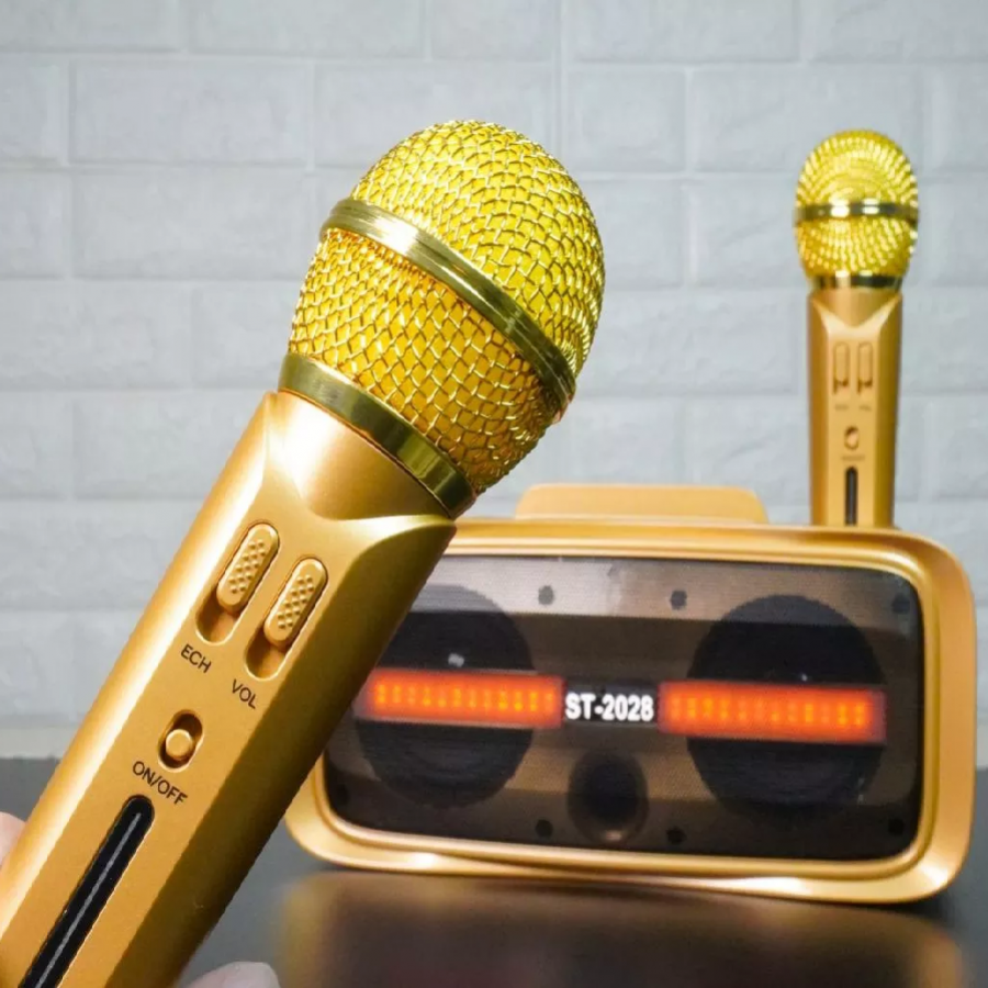 Loa Karaoke Mini Kèm 2 Micro ST-2028