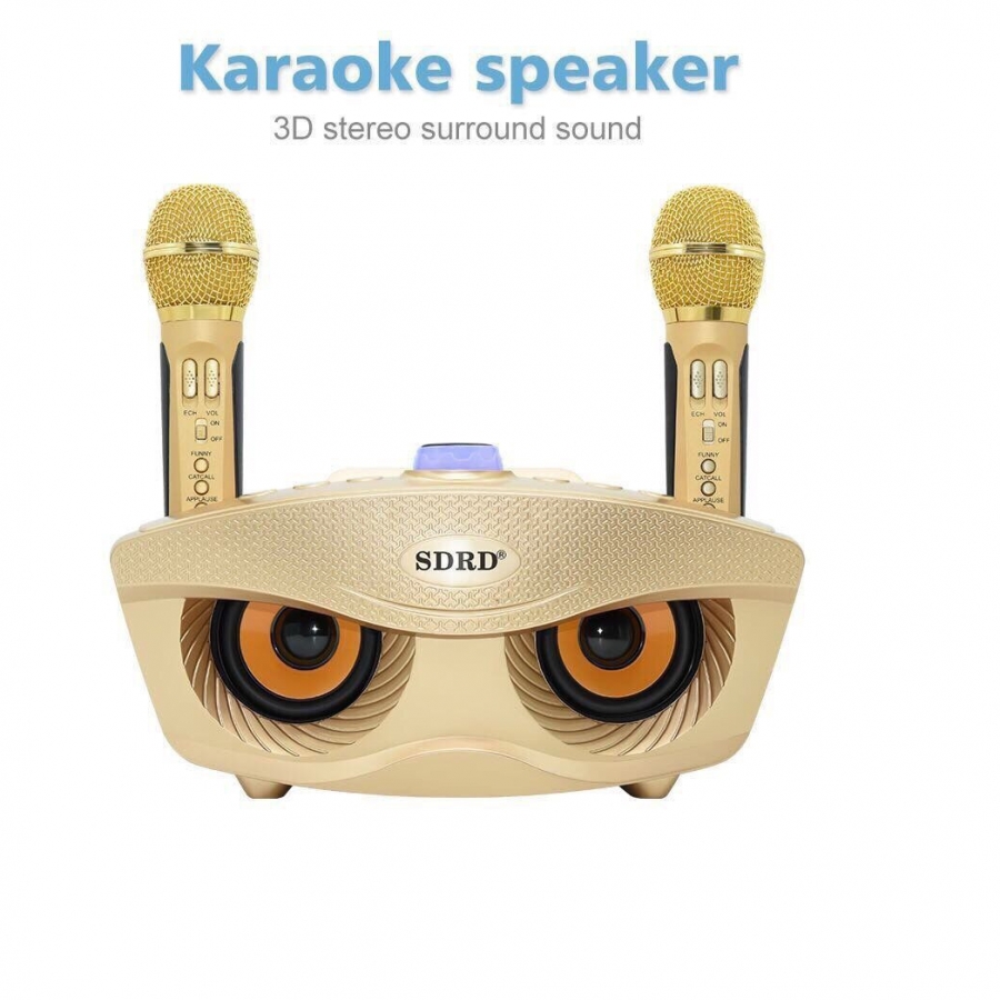 Loa karaoke SD-306, 2 mic