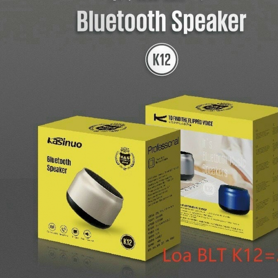 Loa Bluetooth Kasinou K12