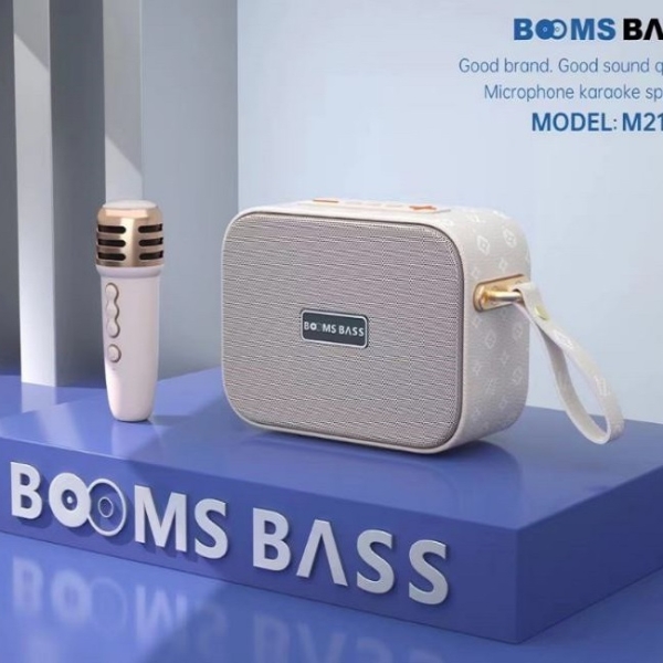 Loa Bluetooth karaoke BOOMS BASS M22021+