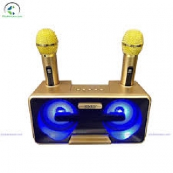 Loa karaoke SD 301, 2 mic