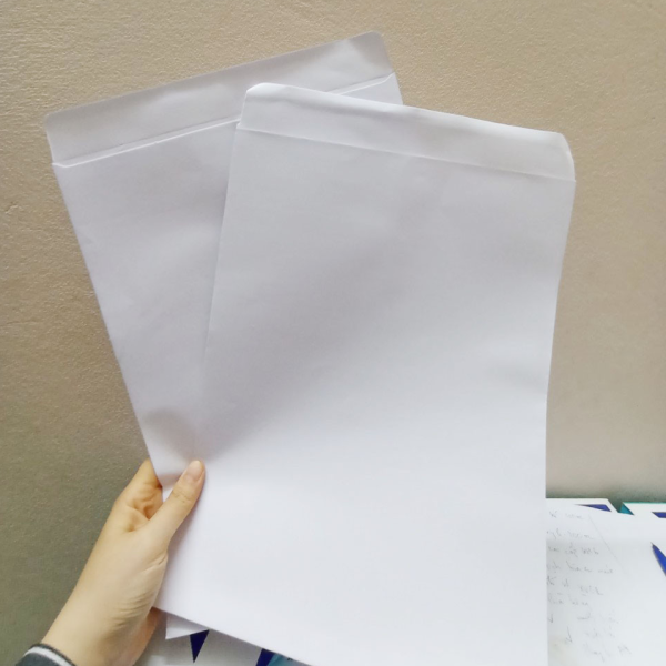 Combo 10 phong bì trắng đựng giấy A4