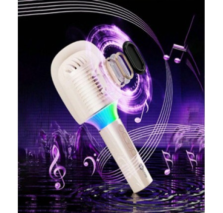 Micro Karaoke Bluetooth Lecoo MCS360