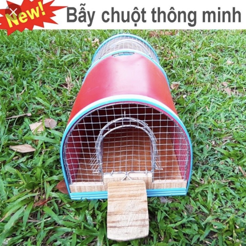 https://linhkienlammusic.com/bay-chuot-thong-minh-1-cua-1-chieu-bay-1-lan-ca-dan