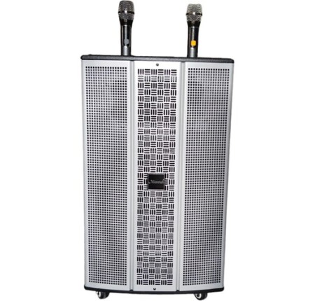 Loa Karaoke Microtek MTK-550A Bass 30cm Công Suất 550w