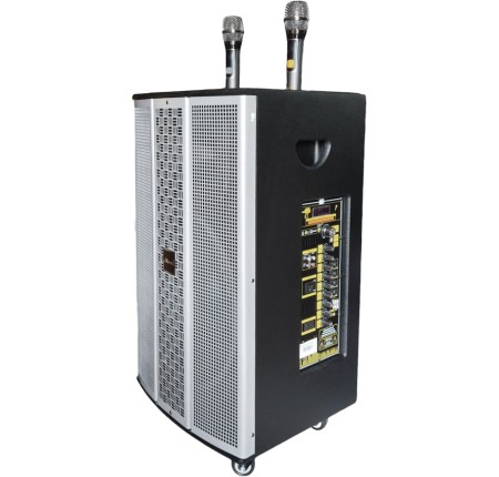 Loa Karaoke Microtek MTK-650A Bass 40cm Công Suất 650w